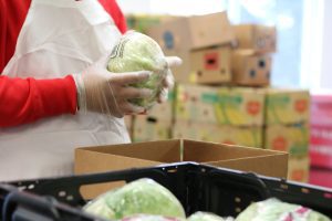 Person in red sweatshirt, apron, and gloves holding a cabbage. Crate of cabbages in the foreground, banana boxes in background.