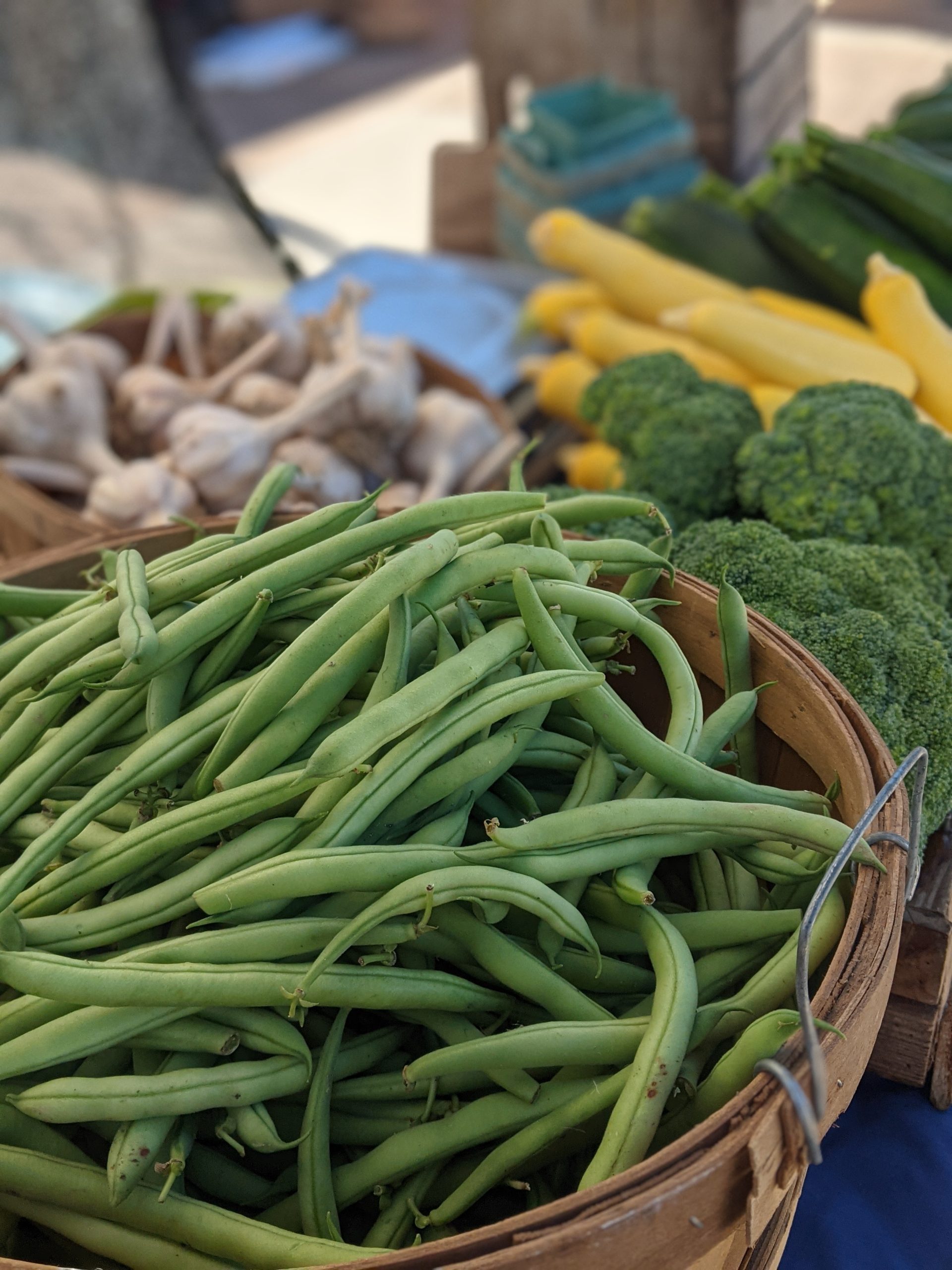 Fresh Green Beans, with broccoli, garlic, zucchini and summer squash in the background. All being sold at the farmers market.