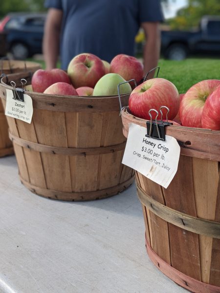 Locally grown apples for sale at farmers market